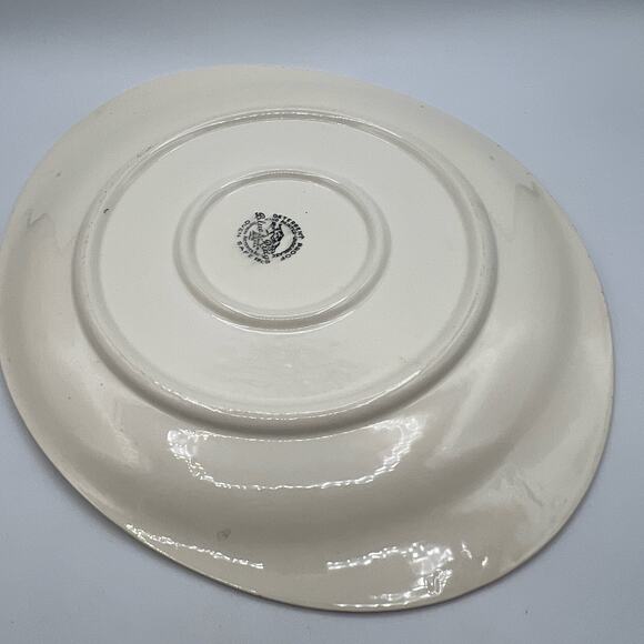 Vtg Pink Oval Serving Platter Spiderweb MCM 1950s Kitchen Blue Ridge Retro13.5" - Picture 5 of 7